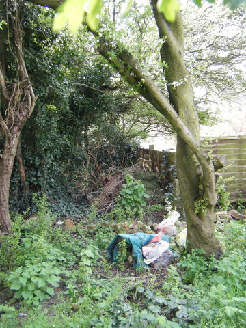 dscf5091.jpg